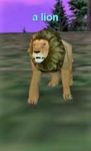 a lion