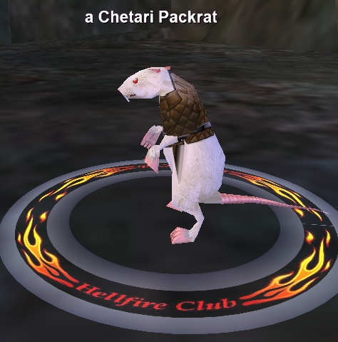 a Chetari Packrat