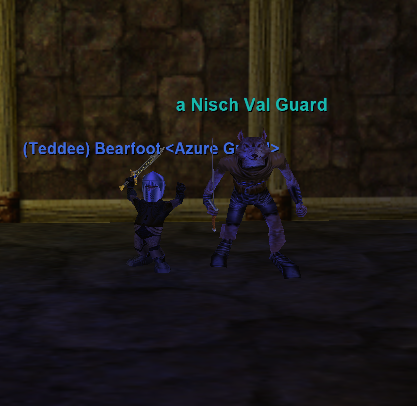 a Nisch Val Guard
