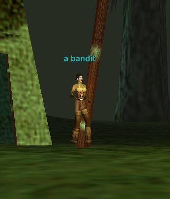a bandit