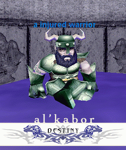 an injured warrior