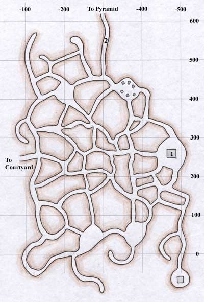 Ctmaze.jpg
