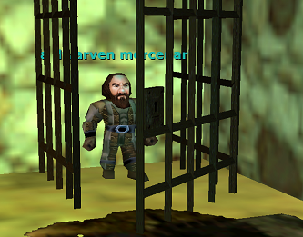 a dwarven mercenary