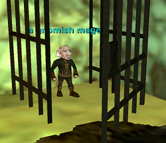 a gnomish mage