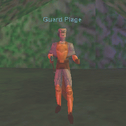 Guard Plage