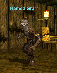 Hamed Grarr