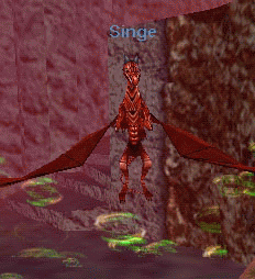 Singe