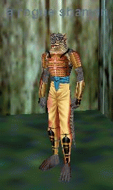 a rogue shaman