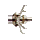 Item 1099.png