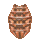 Item 1246.png