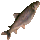 Item 775.png