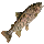 Item 786.png