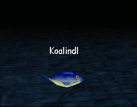 Koalindl (Rodcet Nife)