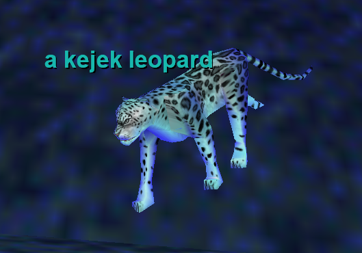 a kejek leopard