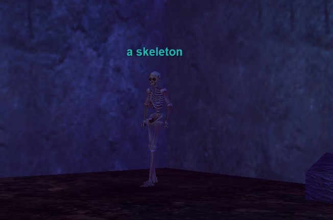 Najskel3.jpeg