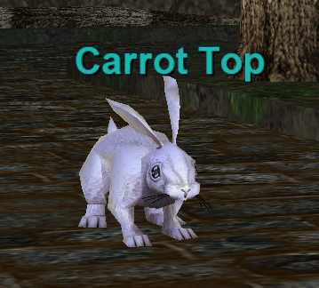Carrot Top
