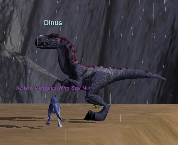 Dinus