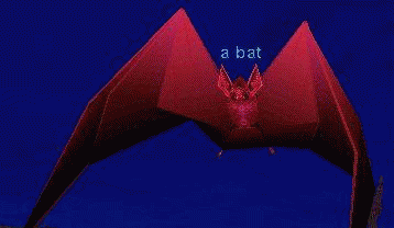 a bat