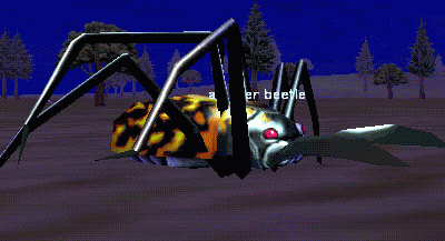 a borer beetle
