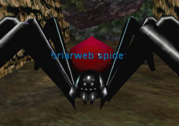a briarweb spider