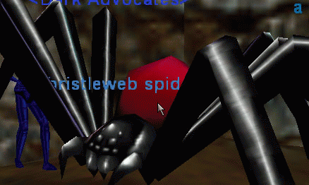 a bristleweb spider