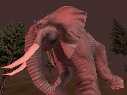 a bull elephant