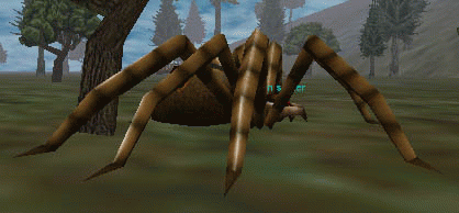 a carrion spider