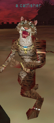 a catfisher