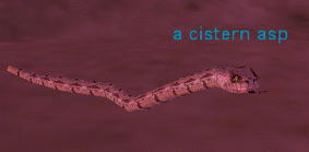 a cistern asp