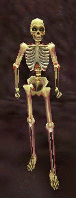 a decaying skeleton