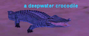 a deepwater crocodile