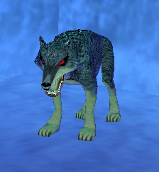 a direwolf pup
