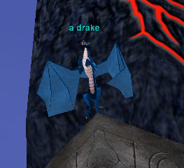a drake