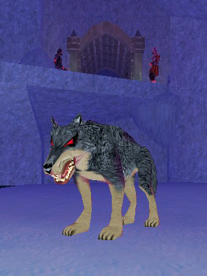 a Drakkel Dire Wolf