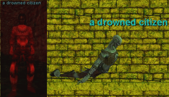 a drowned citizen