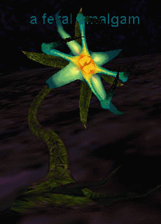 a feral amalgam