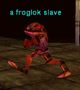 a froglok slave