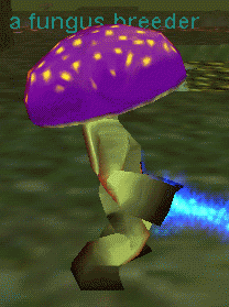 a fungus breeder