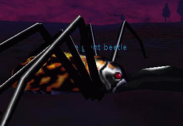 a giant beetle