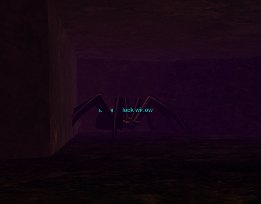 a giant black widow