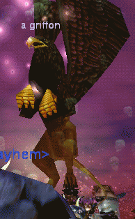 a griffon