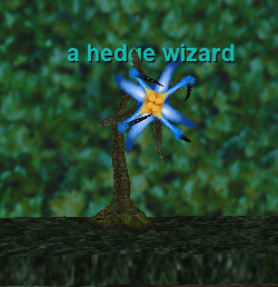 a hedge wizard