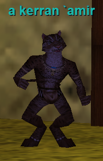 a kerran `amir