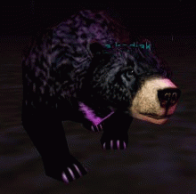 a kodiak bear