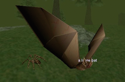 A Large Bat[1]