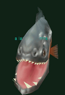 a large piranha