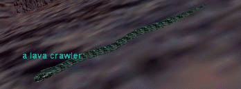 a lava crawler