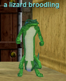 a lizard broodling