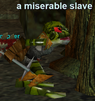 a miserable slave