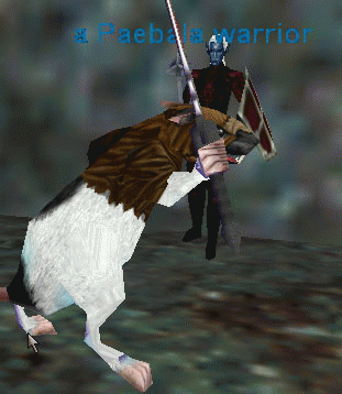 a Paebala warrior